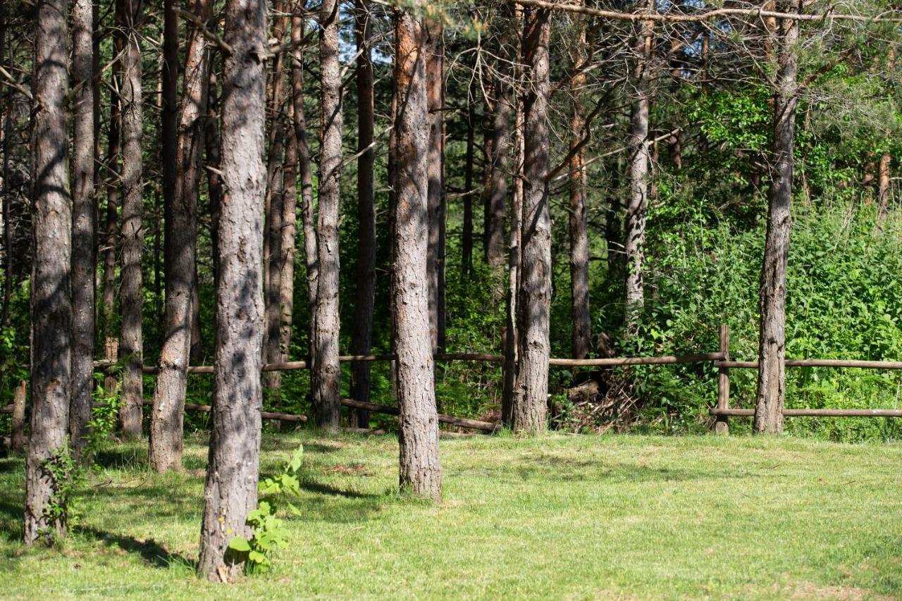 Timber valley Plitvička Jezera Exteriör bild